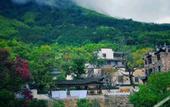 Туры в отель Floral Hotel·Huangshan Xidi Zhuchuan Hotel(Huangshan Xidi Scenic Spot)