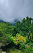 Туры в отель Floral Hotel·Huangshan Xidi Zhuchuan Hotel(Huangshan Xidi Scenic Spot)