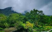 Туры в отель Floral Hotel·Huangshan Xidi Zhuchuan Hotel(Huangshan Xidi Scenic Spot)