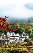 Туры в отель Floral Hotel·Huangshan Xidi Zhuchuan Hotel(Huangshan Xidi Scenic Spot)