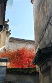 Туры в отель Floral Hotel·Huangshan Xidi Zhuchuan Hotel(Huangshan Xidi Scenic Spot)