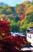 Туры в отель Floral Hotel·Huangshan Xidi Zhuchuan Hotel(Huangshan Xidi Scenic Spot)