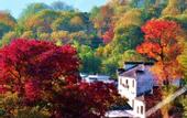 Туры в отель Floral Hotel·Huangshan Xidi Zhuchuan Hotel(Huangshan Xidi Scenic Spot)