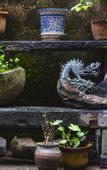 Туры в отель Floral Hotel·Huangshan Xidi Zhuchuan Hotel(Huangshan Xidi Scenic Spot)