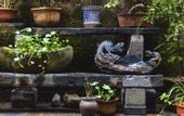 Туры в отель Floral Hotel·Huangshan Xidi Zhuchuan Hotel(Huangshan Xidi Scenic Spot)