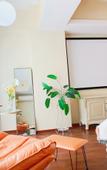 Туры в отель you jia hostel