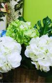 Туры в отель you jia hostel