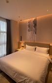 Туры в отель Hyatt Hotel (Zhuhai Pingsha Haiquanwan store)
