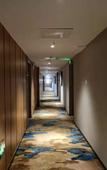 Туры в отель Jiayue Yunshang Hotel (Xi'an Tai Ao Square Baijiakou Subway Station)