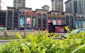 Туры в отель Jiayue Yunshang Hotel (Xi'an Tai Ao Square Baijiakou Subway Station)