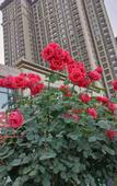 Туры в отель Jiayue Yunshang Hotel (Xi'an Tai Ao Square Baijiakou Subway Station)