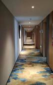 Туры в отель Jiayue Yunshang Hotel (Xi'an Tai Ao Square Baijiakou Subway Station)