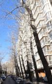 Туры в отель Xinjiang Plaza Jiabin Building