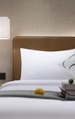 Туры в отель Guangzhou TaiKoo Hui Gangding Subway Station ECHIC Mercure