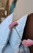 Туры в отель Argyle Hotel