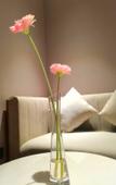 Туры в отель Argyle Hotel