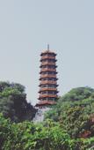 Туры в отель 198 Boutique Hotel (Shenzhen Gongming Plaza Subway Station Daqianli Branch)