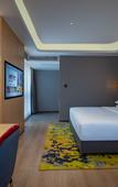 Туры в отель Park Inn by Radisson Chongqing Yuelai International Expo Center