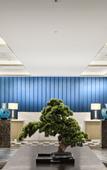 Туры в отель Chongqing Jinke Grand Hotel