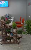 Туры в отель Junyi chain hotel(GuangyuanRoad,Baoji)