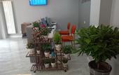 Туры в отель Junyi chain hotel(GuangyuanRoad,Baoji)
