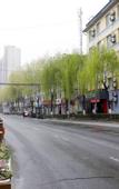 Туры в отель Junyi chain hotel(GuangyuanRoad,Baoji)