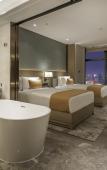 Туры в отель Howard Johnson Roamy Plaza ChongQing