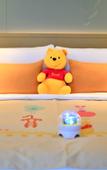 Туры в отель Howard Johnson Roamy Plaza ChongQing