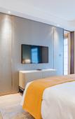 Туры в отель Howard Johnson Roamy Plaza ChongQing