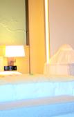 Туры в отель Howard Johnson Roamy Plaza ChongQing