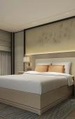 Туры в отель Howard Johnson Roamy Plaza ChongQing