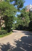 Туры в отель Howard Johnson Roamy Plaza ChongQing