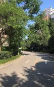Туры в отель Howard Johnson Roamy Plaza ChongQing