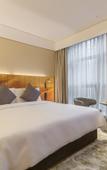 Туры в отель Manxin Hotel Chongqing Guanyinqiao Jiujie