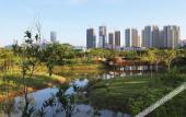 Туры в отель ICON LAB Hotel Shenzhen Futian