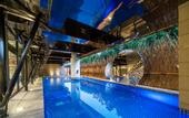 Туры в отель Nanjing Tangshan Hentique Spring Valley Hotel