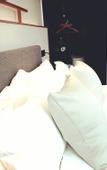 Туры в отель Muzi Hotel