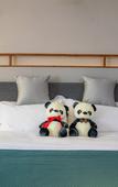 Туры в отель Muzi Hotel