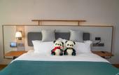 Туры в отель Muzi Hotel