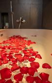 Туры в отель Muzi Hotel