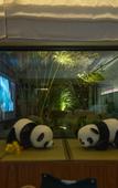Туры в отель Muzi Hotel
