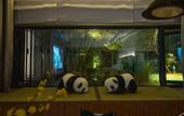 Туры в отель Muzi Hotel