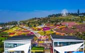 Туры в отель Muzi Hotel