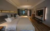 Туры в отель Muzi Hotel