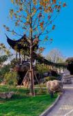 Туры в отель Hotel Indigo SUZHOU YANGCHENG LAKE by IHG