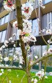Туры в отель Hotel Indigo SUZHOU YANGCHENG LAKE by IHG