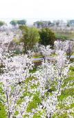Туры в отель Hotel Indigo SUZHOU YANGCHENG LAKE by IHG