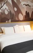 Туры в отель Shankee Hotel (Jing County Dongzhongshu Lu Road)