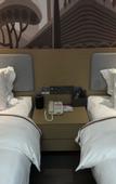 Туры в отель Shankee Hotel (Jing County Dongzhongshu Lu Road)