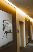 Туры в отель Junyi Hotel Chain (Jingchuan Jingzhou Street Store)